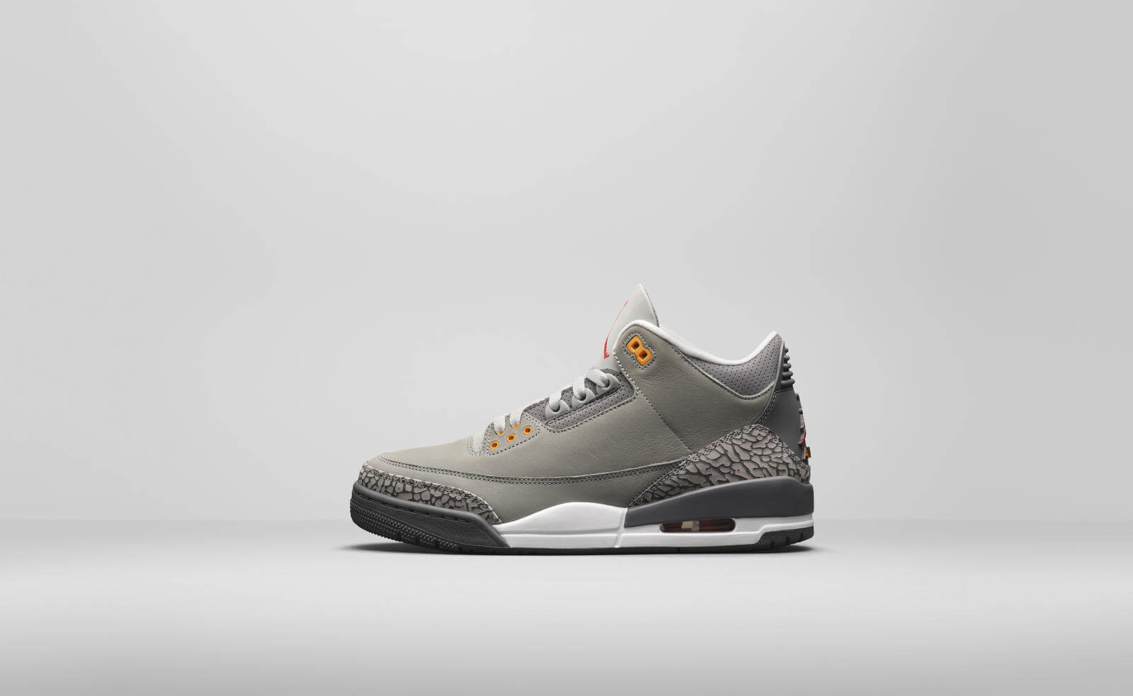 Air Jordan 3 Cool Grey 202