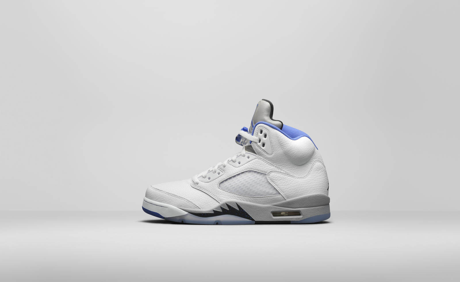 Air Jordan 5 Stealt 2021