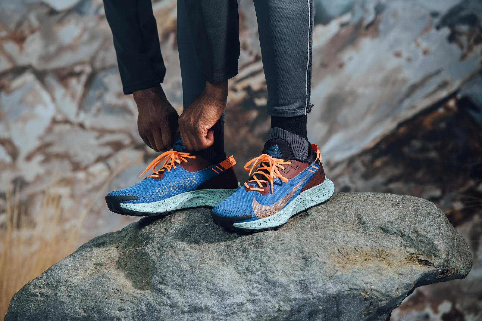 Nike Pegasus Trail 2 Gore-Tex 2020