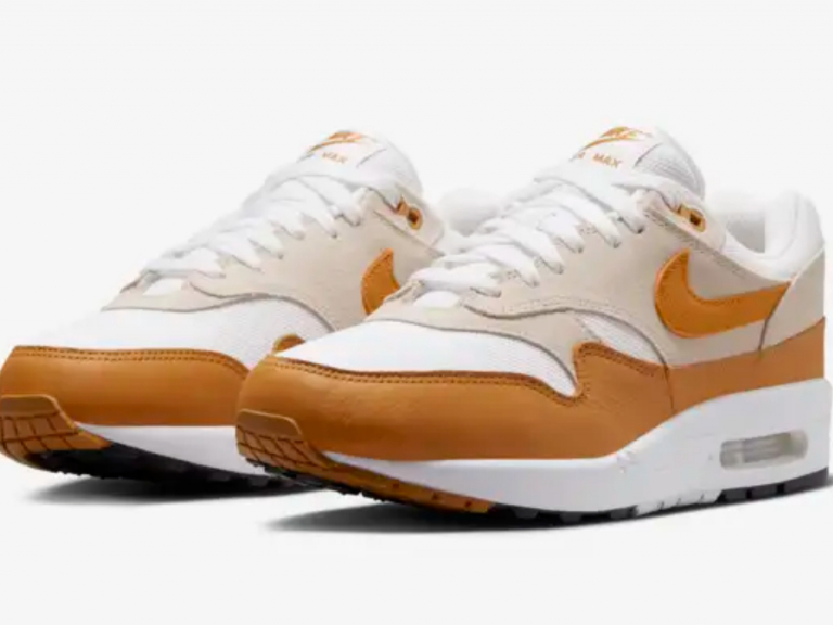 zapatillas Nike Air Max 1 Bronze