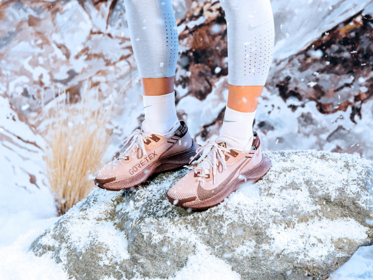 Nike Pegasus Trail 2 Gore-Tex 2020 Nike Pegasus Trail 2 Gore-Tex 2020